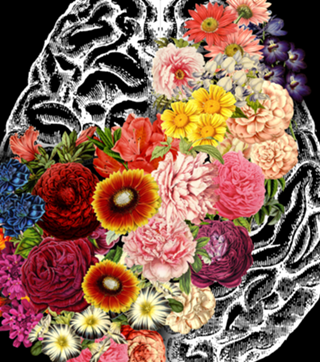 Love Your Brain