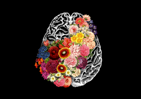 Love Your Brain