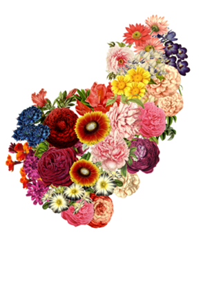 Love Your Brain