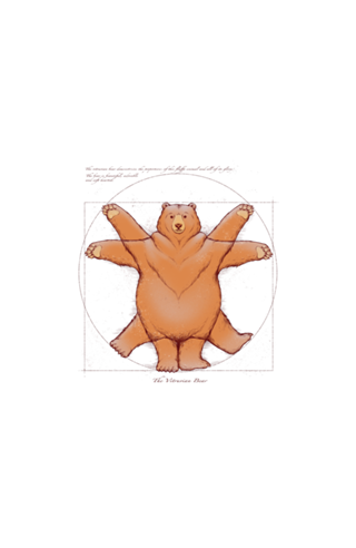 Vitruvian Bear