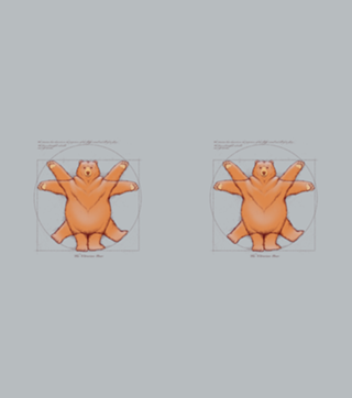 Vitruvian Bear