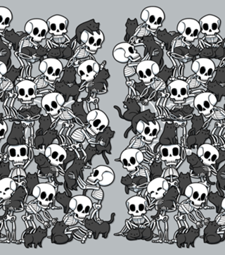 Cat Skull Party
