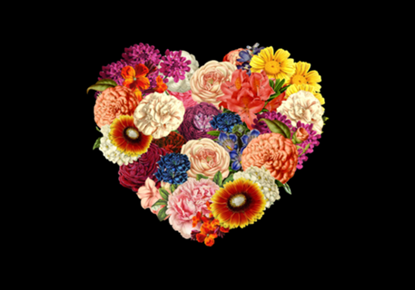 Blooming Love