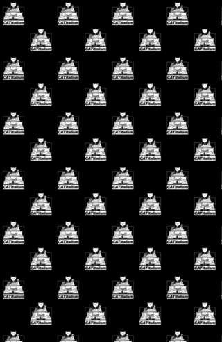 CaTitalism