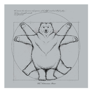 Vitruviam Bear Grey