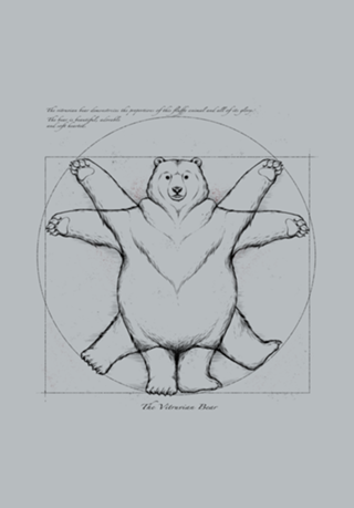 Vitruviam Bear Grey