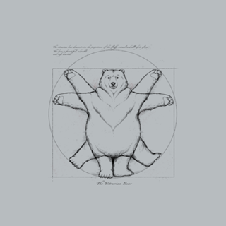 Vitruviam Bear Grey