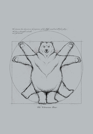 Vitruviam Bear Grey
