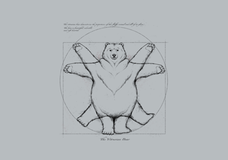 Vitruviam Bear Grey