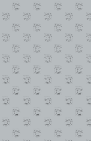 Vitruviam Bear Grey