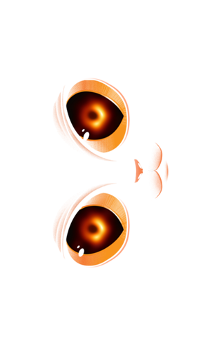 Black Hole Cat