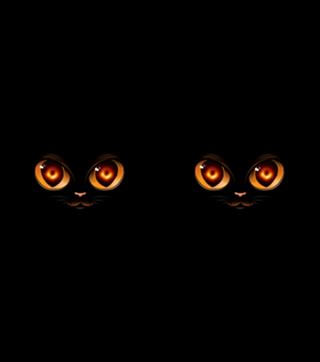 Black Hole Cat