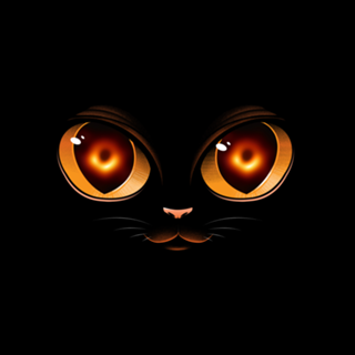 Black Hole Cat