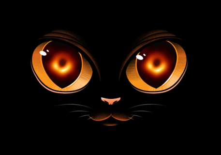 Black Hole Cat