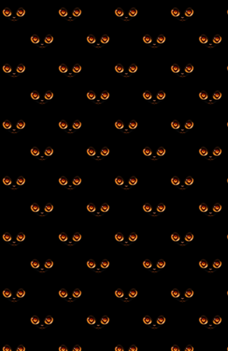 Black Hole Cat