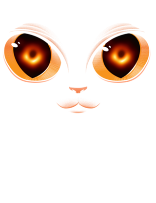 Black Hole Cat