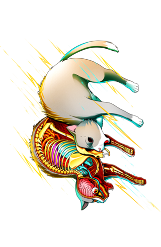 Electric Cat
