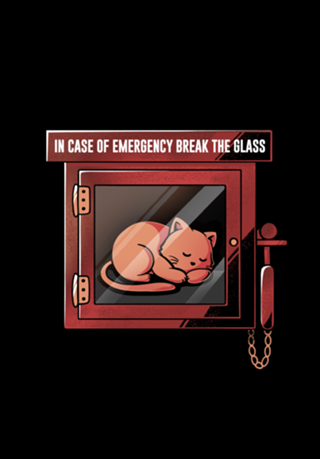 Emergency Cat