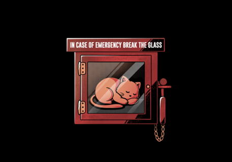 Emergency Cat