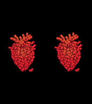 I Love Cat Heart