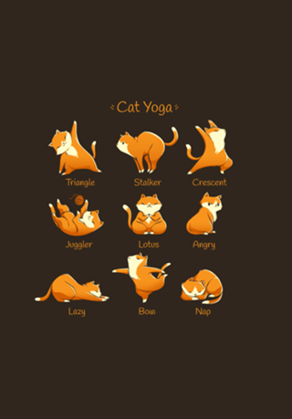 Yoga Cat