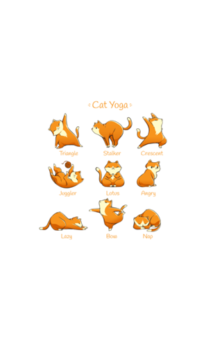 Yoga Cat