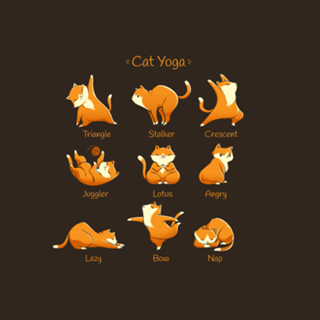 Yoga Cat