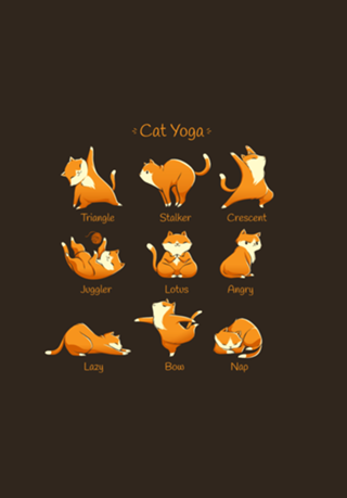 Yoga Cat