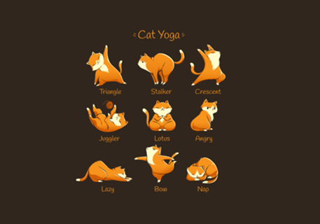 Yoga Cat