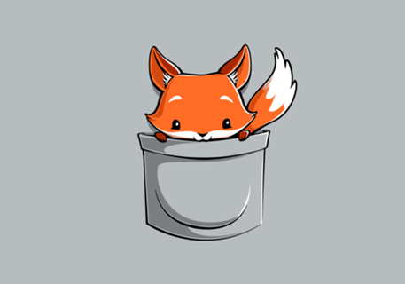 Pocket Fox