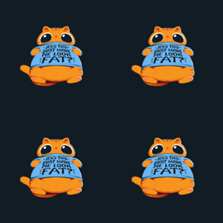 Does This Shirt Make Me Look Fat?