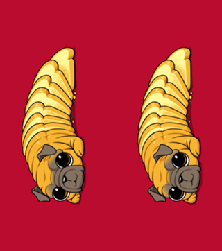 Pug Bread