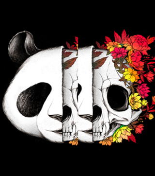 Panda Skull Rock