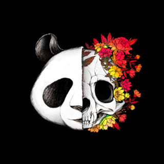 Panda Skull Rock