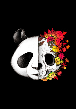 Panda Skull Rock
