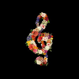 Flower Music Heart