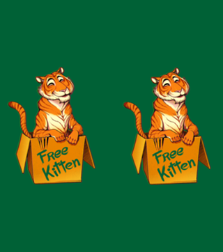 Free Kitten