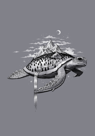 Adventure Turtle
