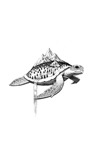 Adventure Turtle