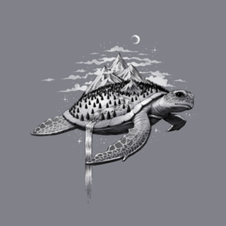 Adventure Turtle