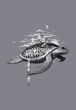 Adventure Turtle