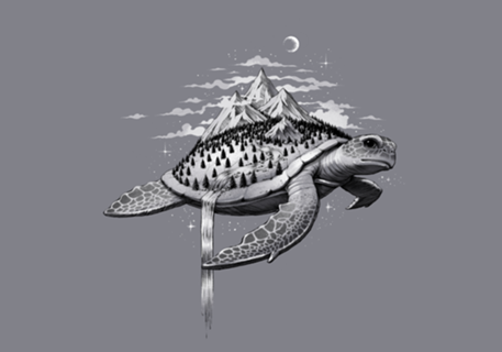 Adventure Turtle