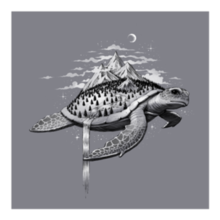 Adventure Turtle