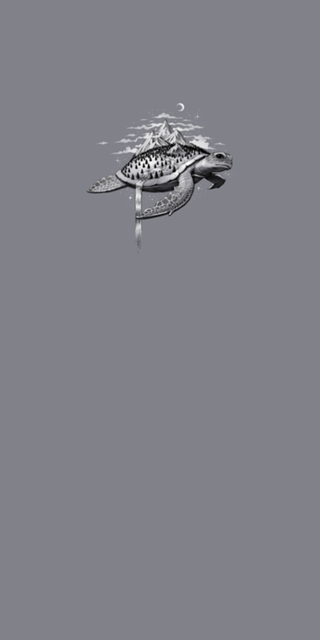 Adventure Turtle