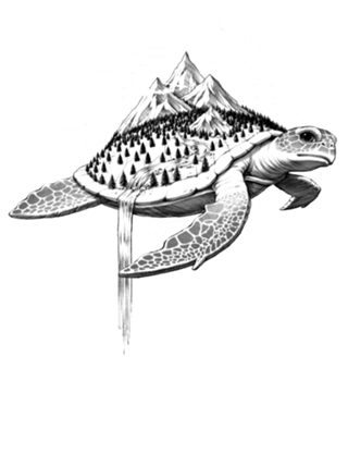 Adventure Turtle