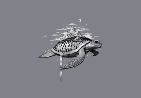 Adventure Turtle