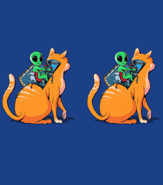 Alien Cat