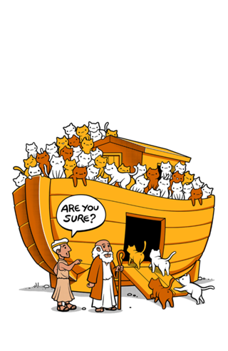 Noah's Ark Cat