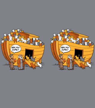Noah's Ark Cat