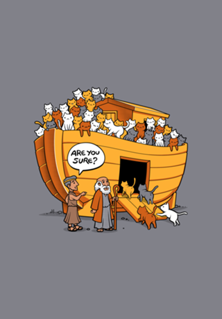Noah's Ark Cat